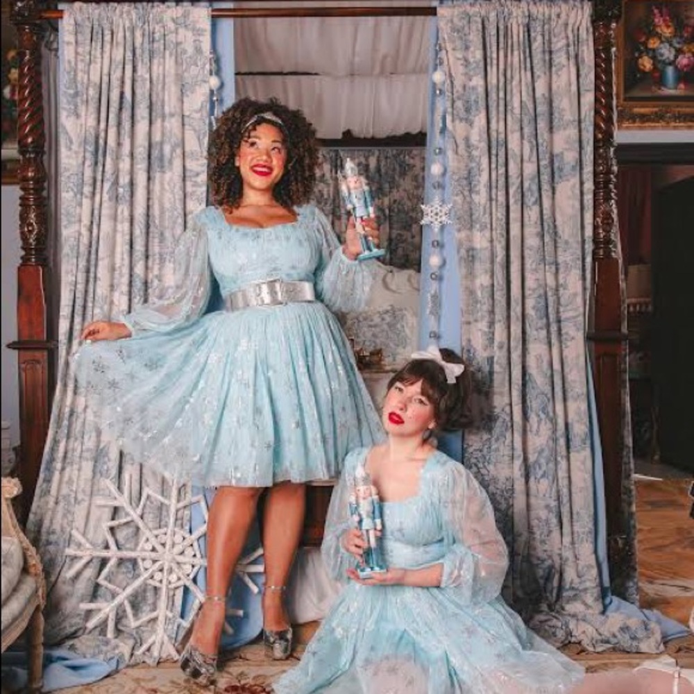 NWT Ivy City Snowflake Dress